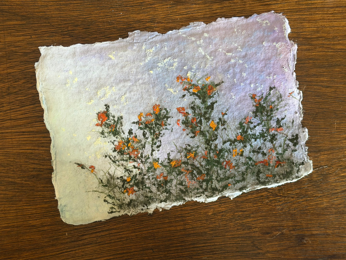 Wild Meadow No.1 | 6x4 soft pastel