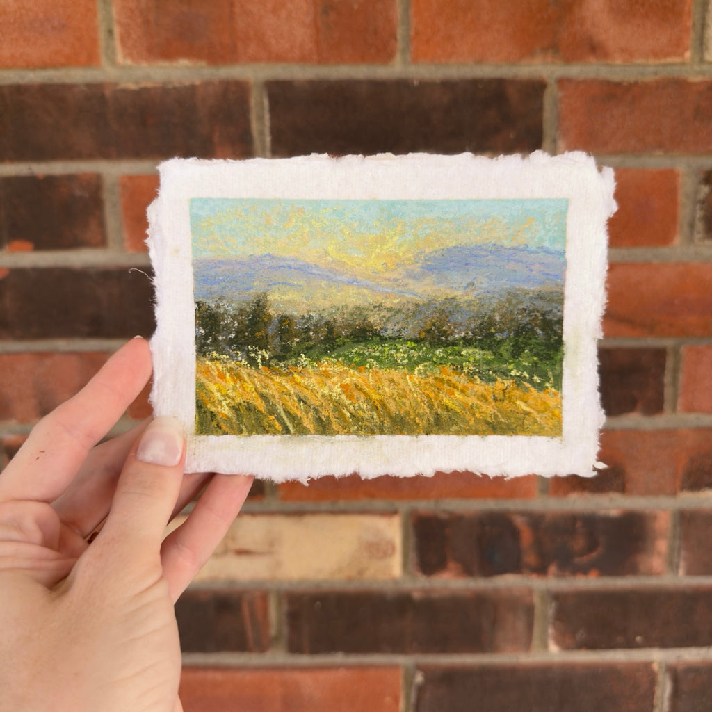 “Dazy Field” Original Soft Pastel