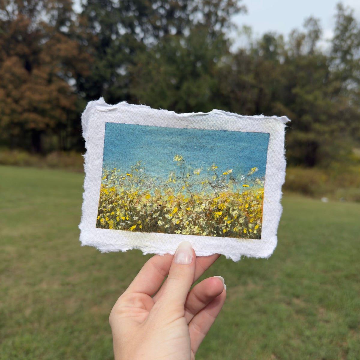 “Backyard Flowers” Original Soft Pastel